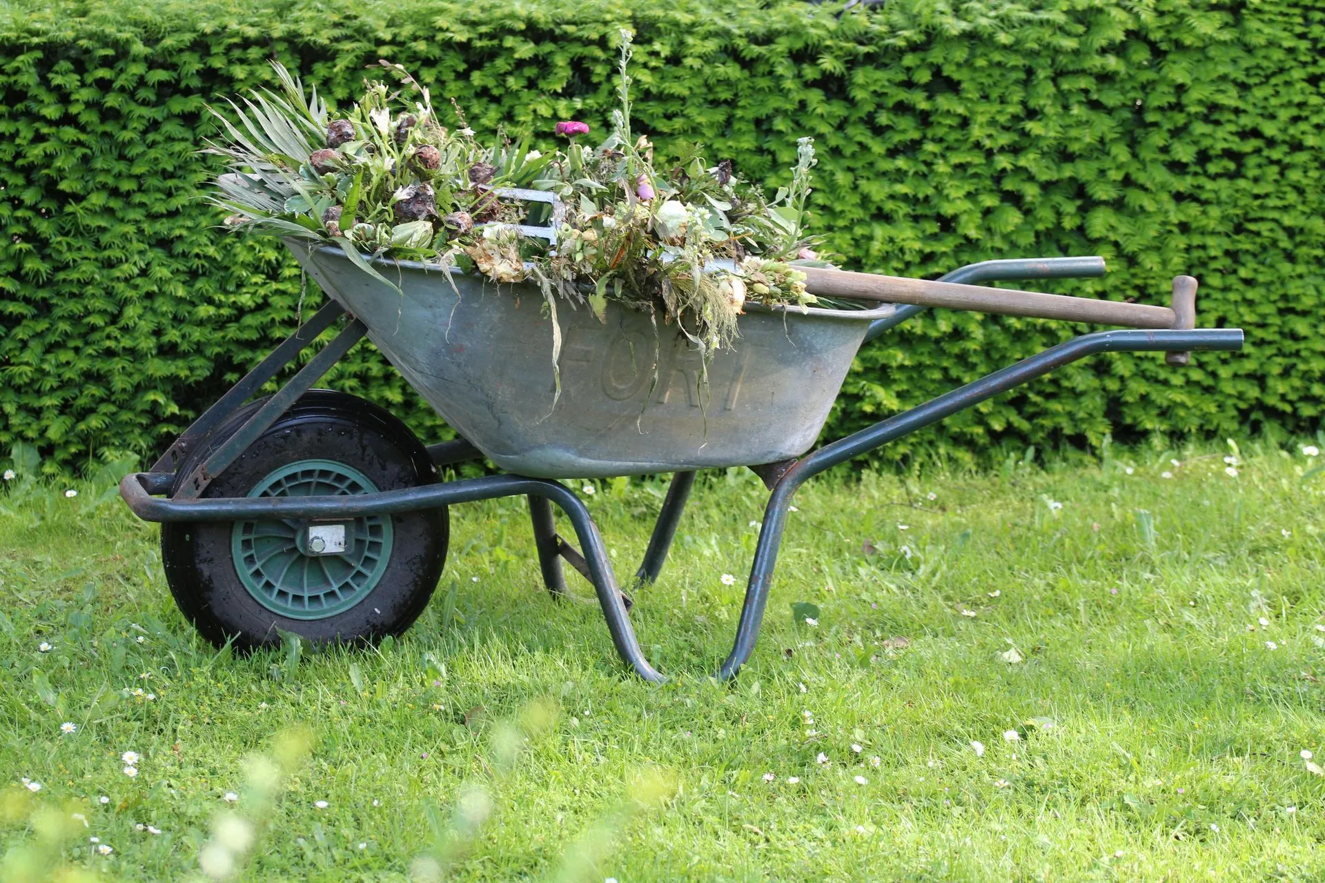 Expert Weed Control Services
