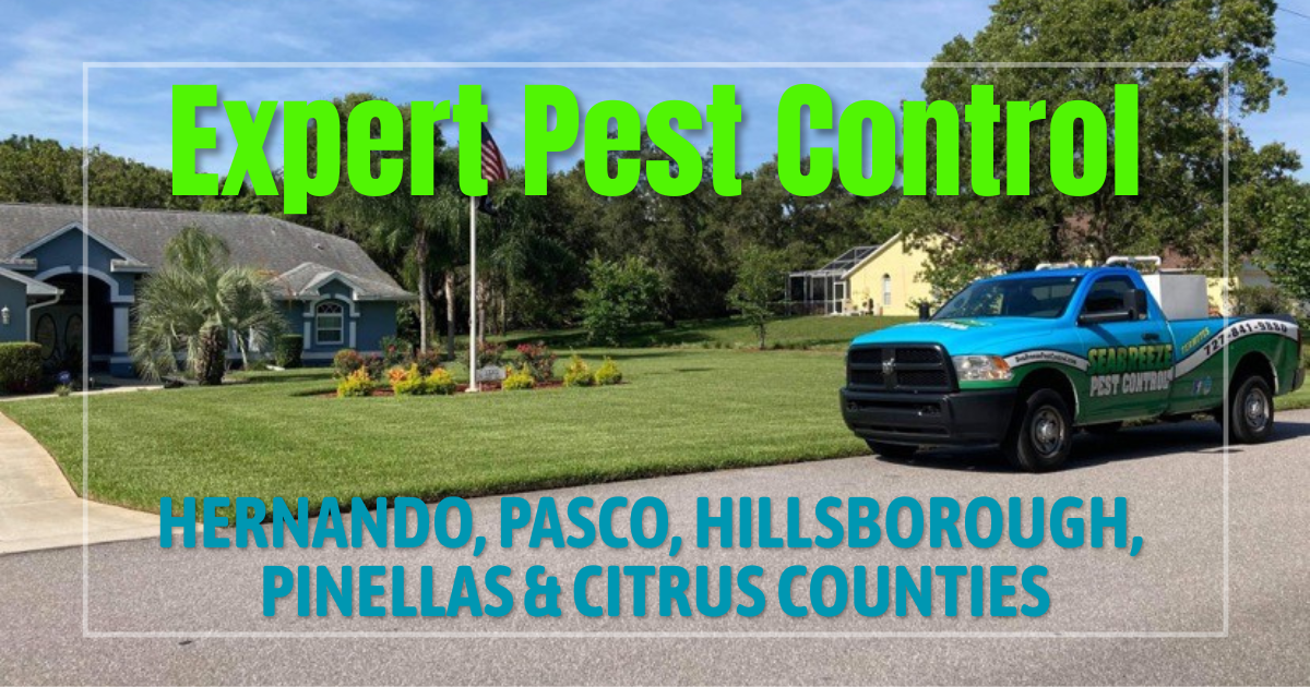 Seabreeze Pest Control