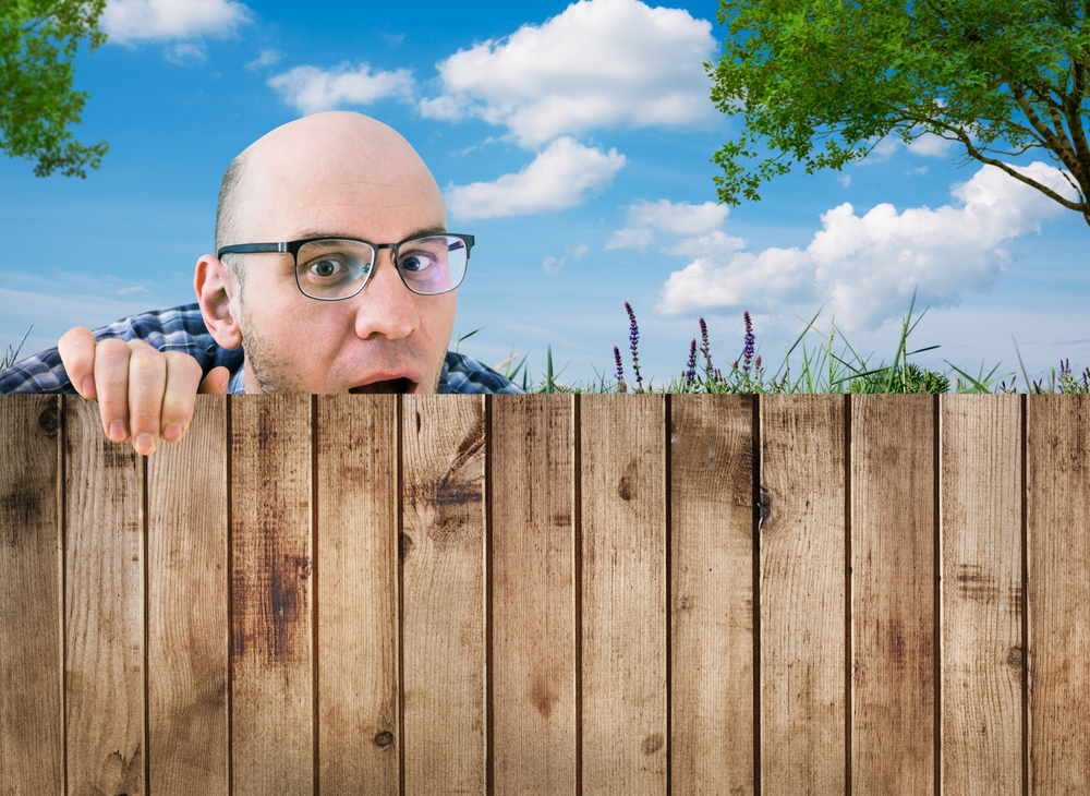 Pest Control in Hernando County: How Neighboring Lawns Bring Pests Into Your Yard