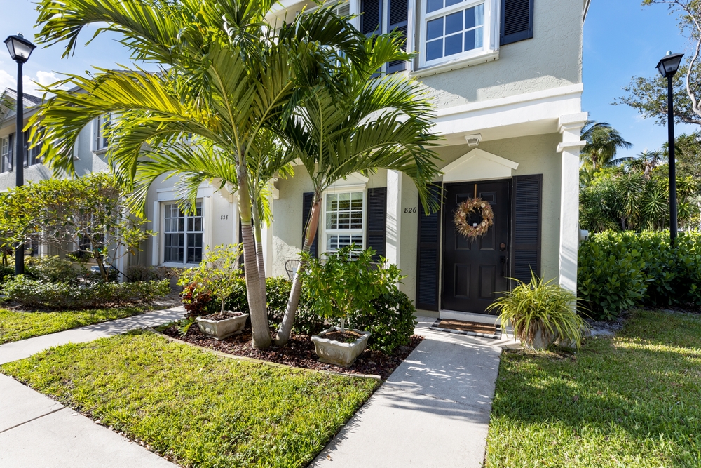 Palm Tree Treatment in Hernando County