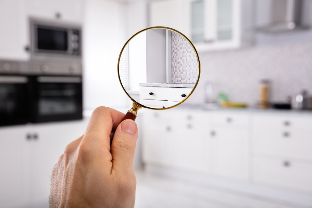 Hidden Pest Hotspots in Florida Homes