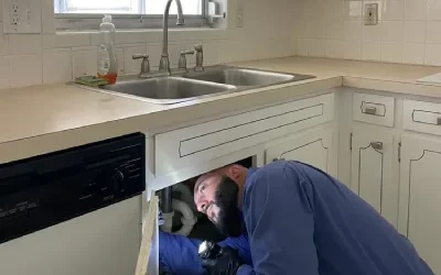 Seabreeze pest control services inc. hudson, Fl - 2